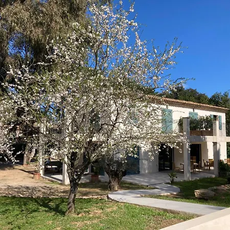 Bed and breakfast Loumar Saint-Tropez