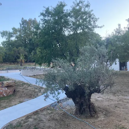 住宿加早餐酒店 Loumar 圣特罗佩