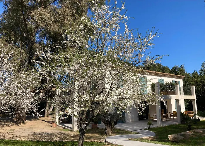 Loumar Bed & Breakfast