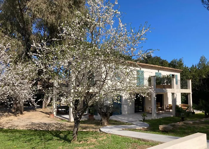 Bed & Breakfast Loumar Saint Tropez