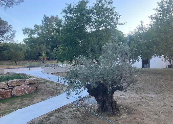 Bed & Breakfast Loumar Saint Tropez